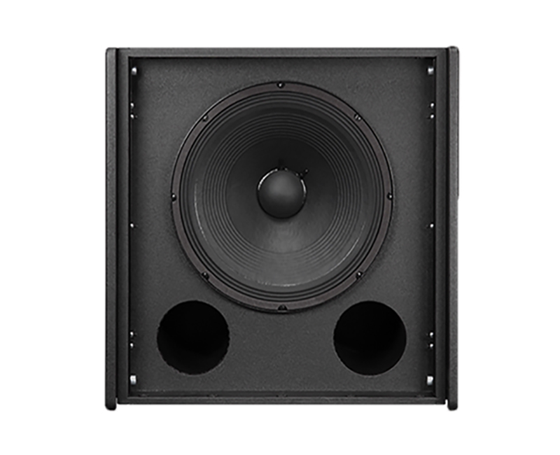 loa woofer DVX3159A 15 inch của hệ thống EVA-1151D