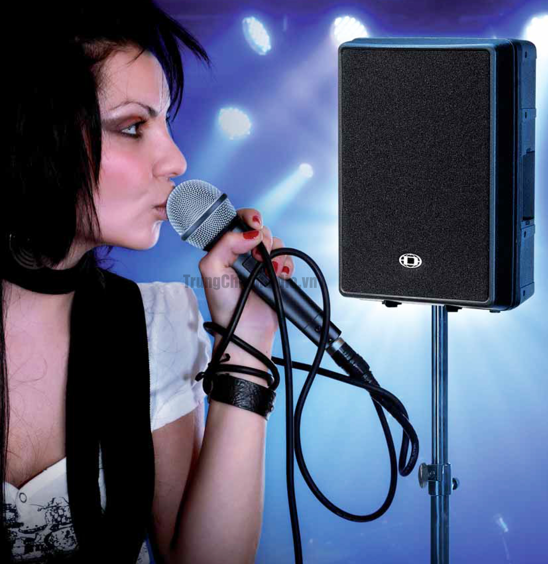 loa dynacord d12-3 banner