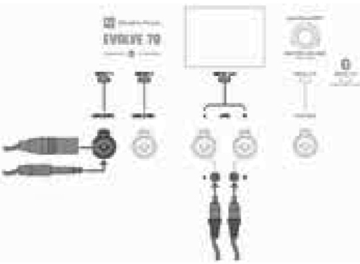 Kết nối tín hiệu XLR/TRS/RCA