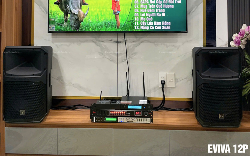 Dàn karaoke gia đình Electro-Voice EVIVA 12P tại Bình Thạnh