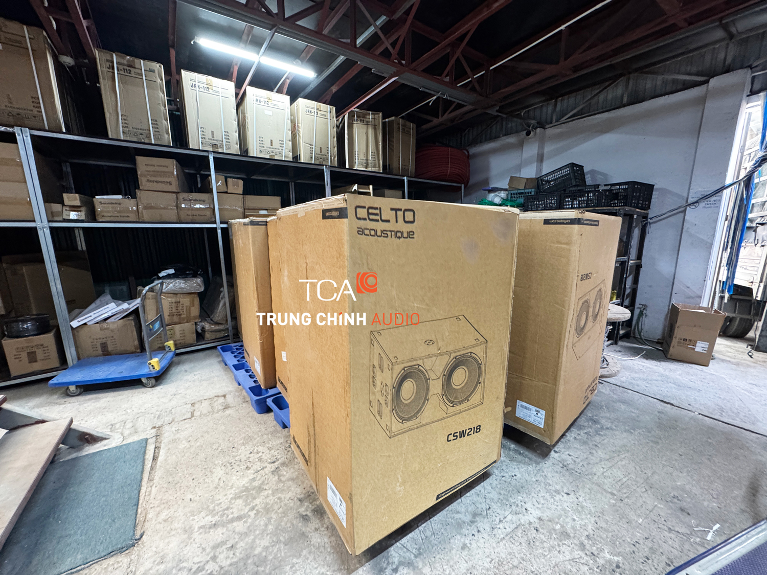 giao hàng loa celto sub csw218
