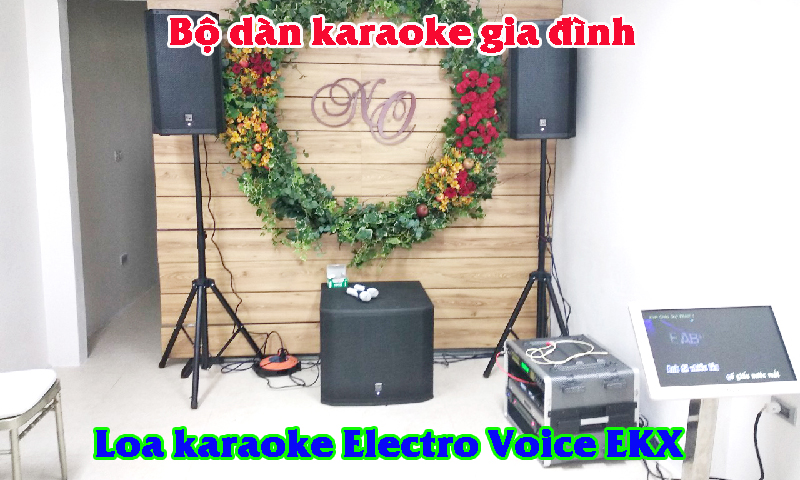 Bộ dàn karaoke gia đình: Loa karaoke Electro Voice EKX