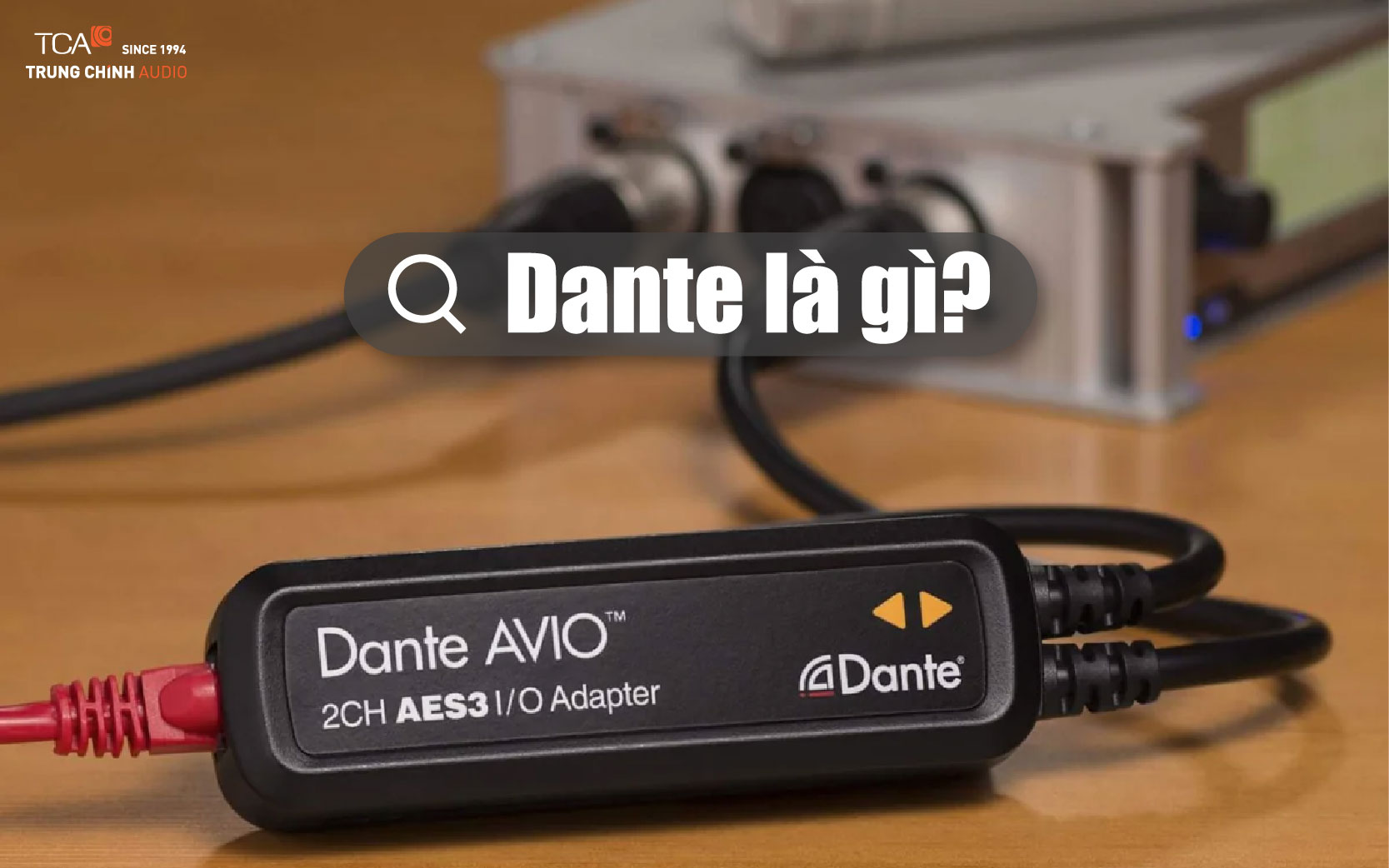 Dante là gì?