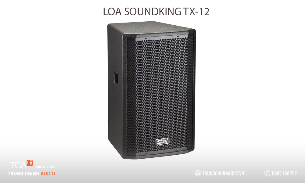 Loa Soundking TX-12