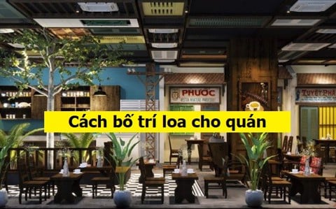 Đây là cách bạn thiết kế loa của mình để có quán cà phê âm thanh hay, đẹp và an toàn