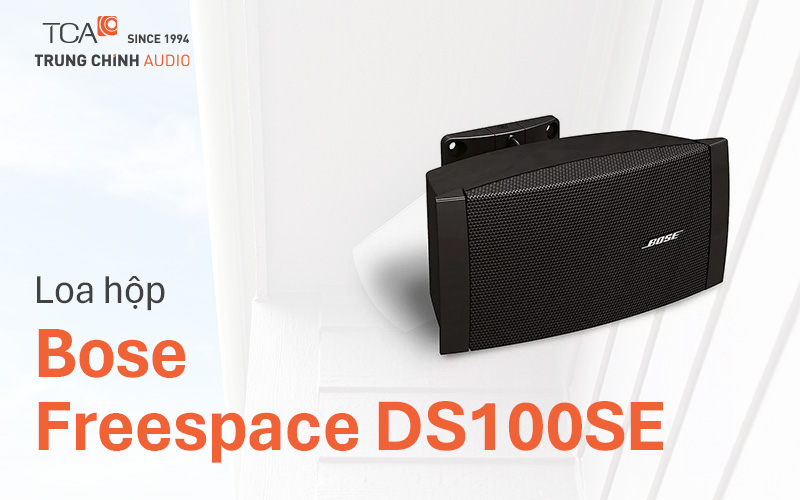 Loa hộp Bose Freespace DS100SE