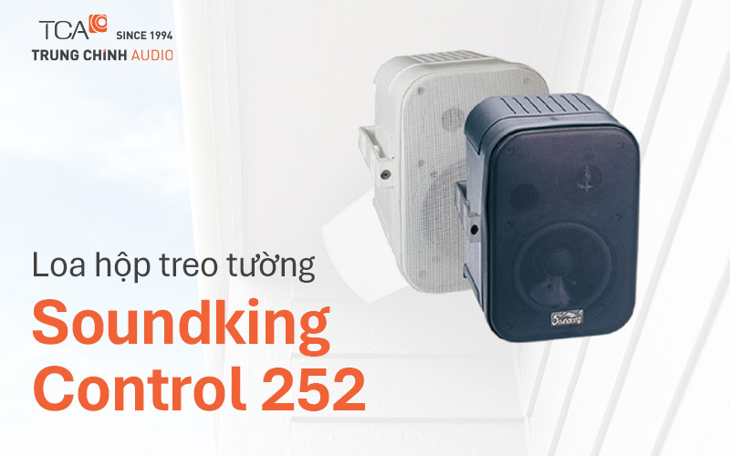 Loa hộp treo tường Soundking Control 252