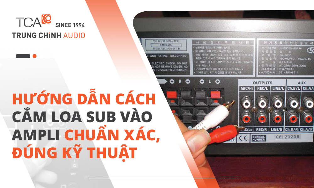 Hướng dẫn cách cắm loa sub vào ampli chuẩn xác, đúng kỹ thuật