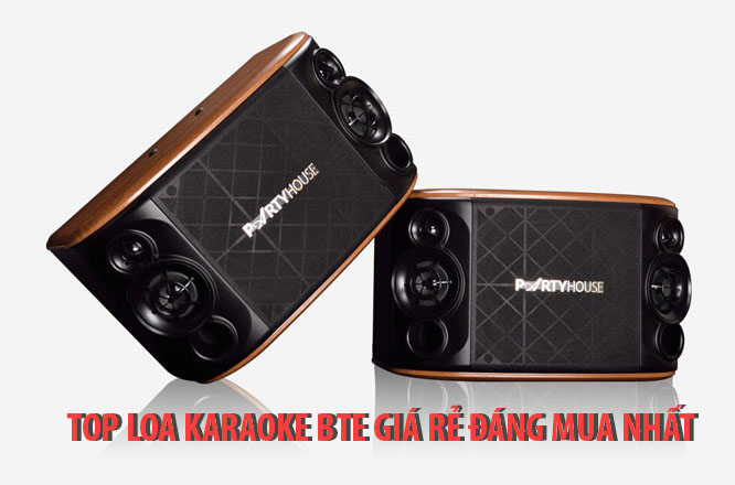 Top 5 Loa karaoke BTE giá rẻ thích hợp cho mọi gia đình sắm TẾT