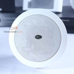 Loa gắn trần ITC T-205