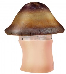 Loa sân vườn hình nấm ITC T-500