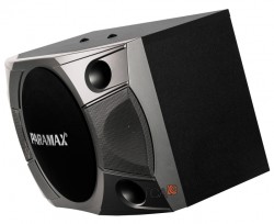 Loa karaoke Paramax P-900