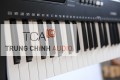 Đàn Organ Yamaha PSR-E363 Chính Hãng, Tiện Lợi