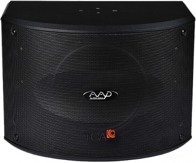 Loa Karaoke AAD PRO12