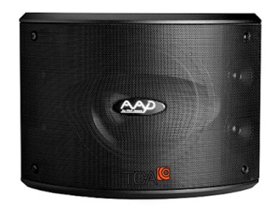 Loa karaoke AAD PRO10