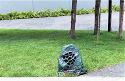 Loa sân vườn giả đá ITC T-300GA