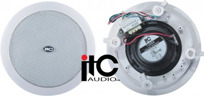 Loa gắn trần ITC T-205A