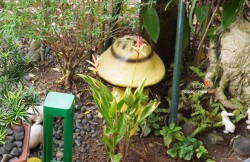 Loa sân vườn hình nấm ITC T-500