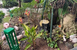 Loa sân vườn giả đá hình gốc cây ITC T-700C