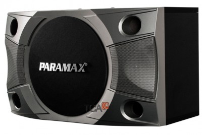 Loa karaoke Paramax P-900