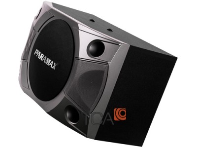 Loa karaoke Paramax P-800