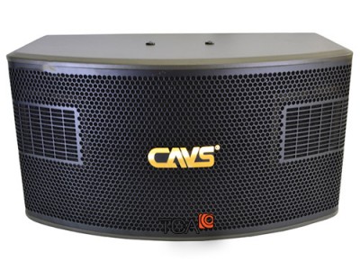 Loa Karaoke CAVS 525SE
