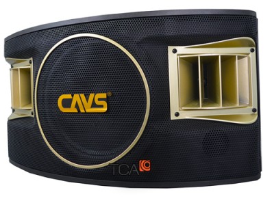 Loa karaoke CAVS 530SE
