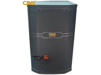Loa Karaoke CAVS CS401E