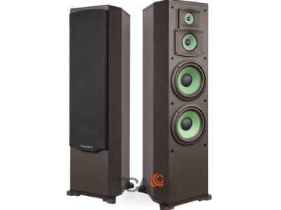 Loa Karaoke Paramax F1000