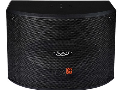 Loa Karaoke AAD KM12