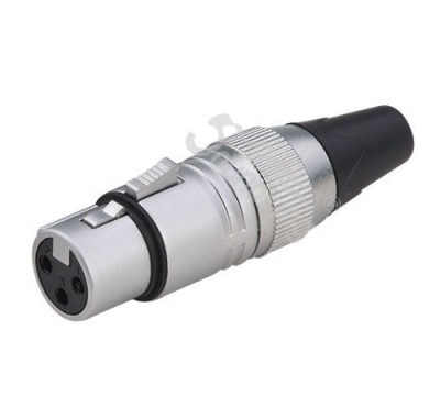 Jack canon cái Soundking CC525