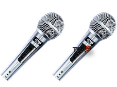 Micro không dây BMB NKN – 300