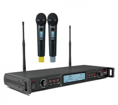 Micro không dây Soundking W22