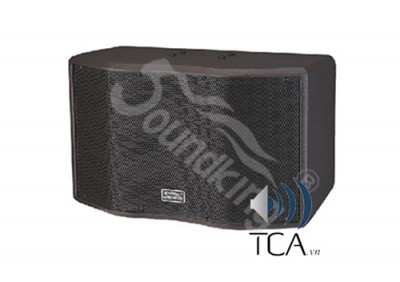 Loa treo tường Soundking SX-310