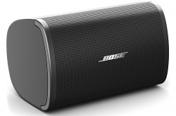 Loa hộp Bose DESIGNMAX DM2S