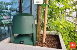 Loa sân vườn JBL Control 88M