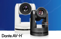 Camera Dante AV-H Avonic CM93-DAV